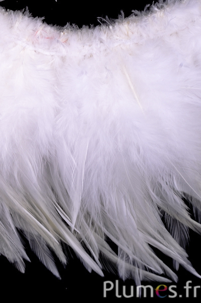 Frange coq - long. plumes 10-15 cm - blanc